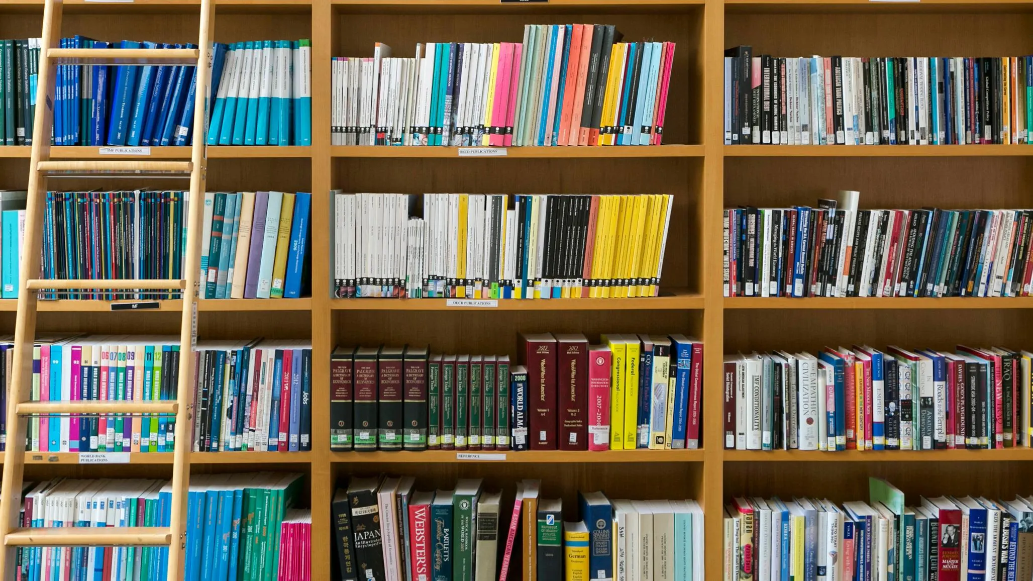 download - 2025-07-15T050210.158