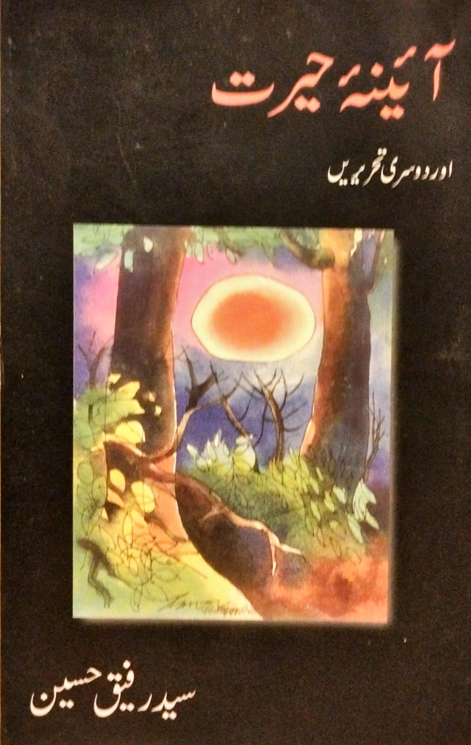 آئینہ حیرت اور دوسری تحریریں