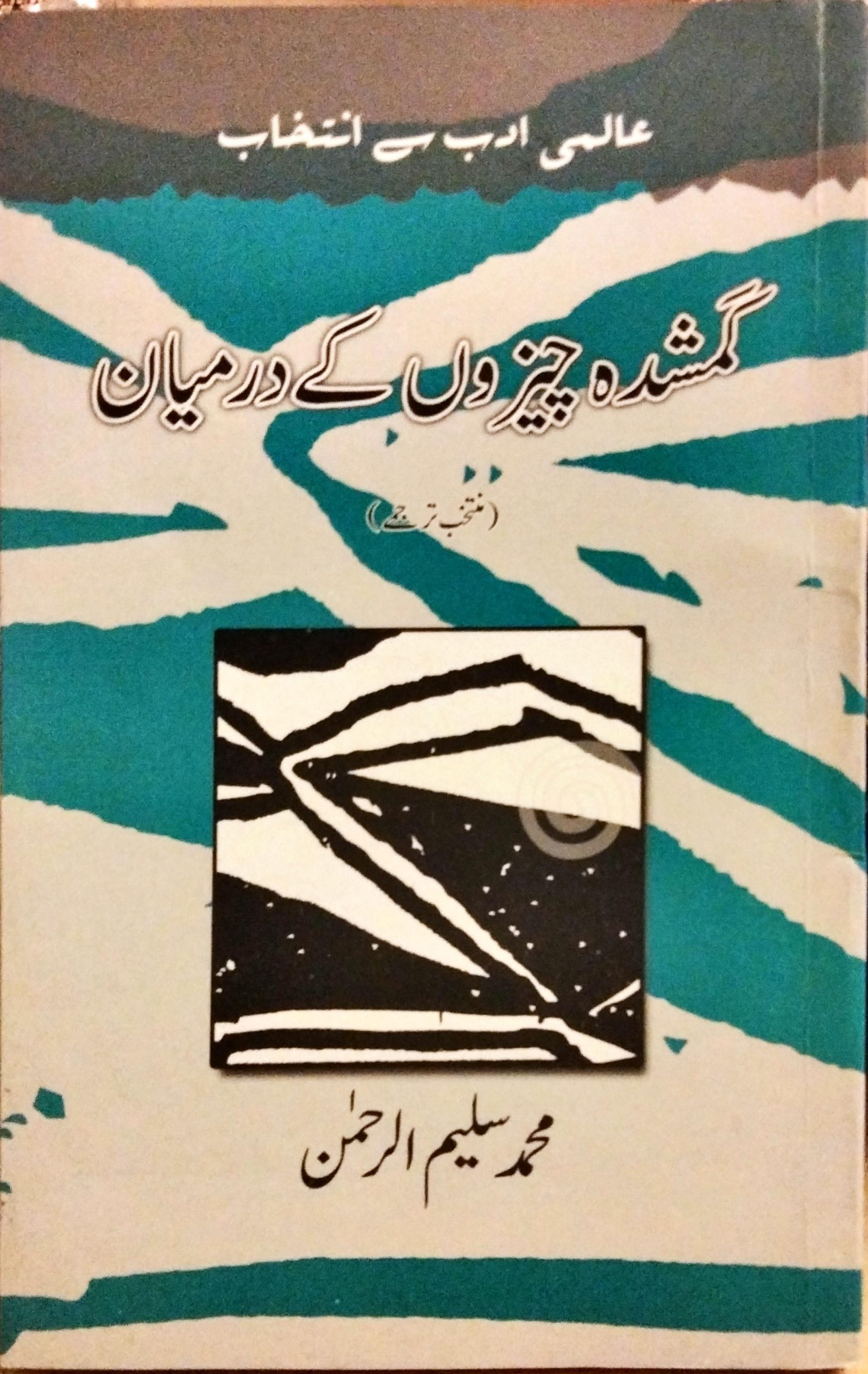 گمشدہ چیزوں کے درمیان