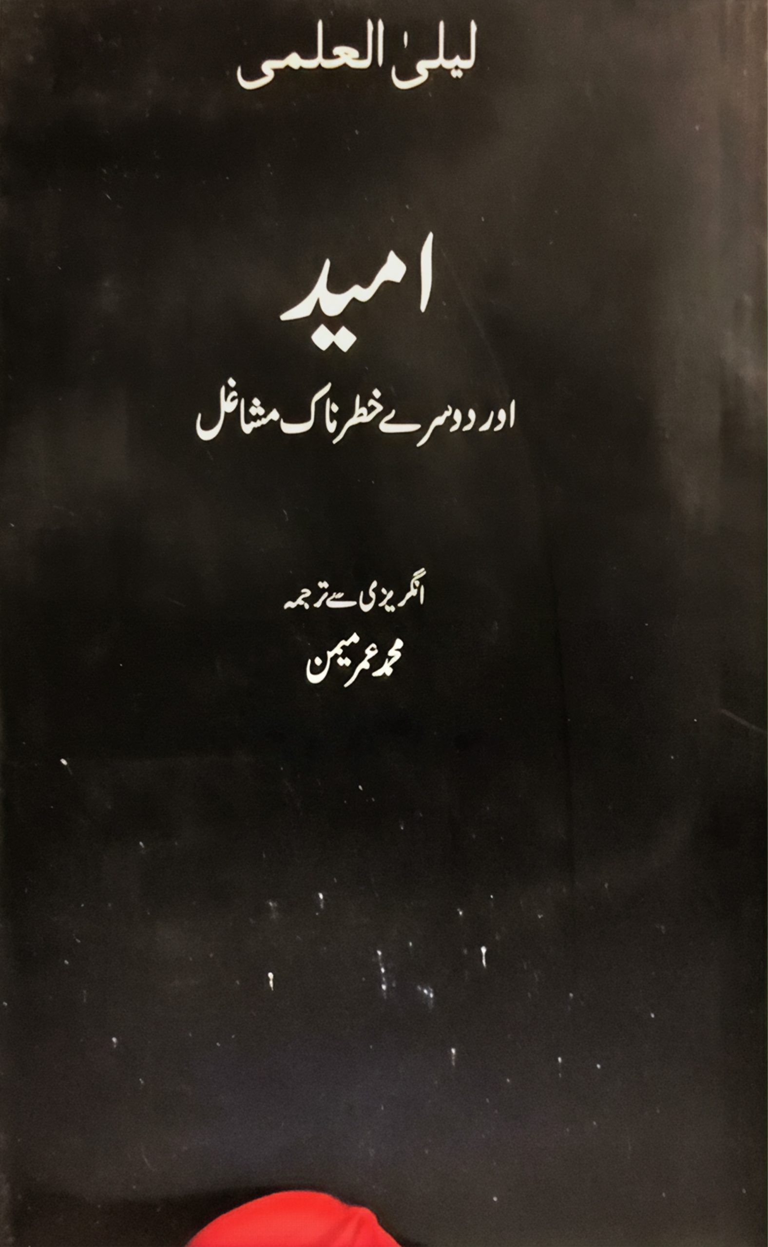 امید اور دوسرے خطرناک مشاغل