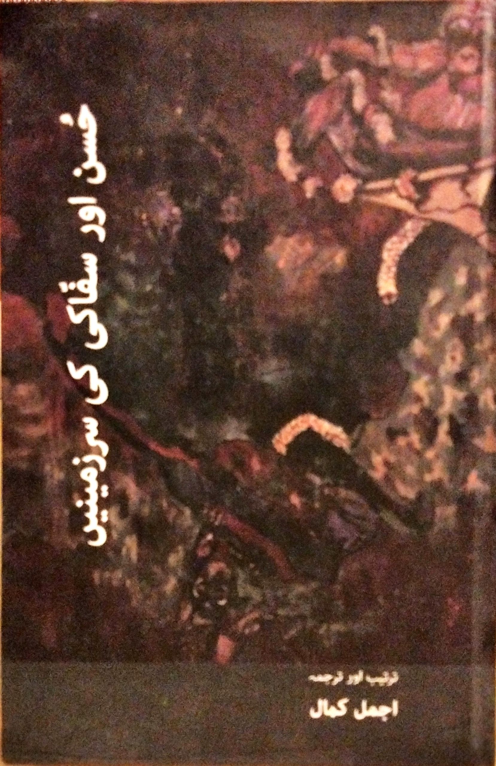 حُسن اور سفاکی کی سرزمینیں