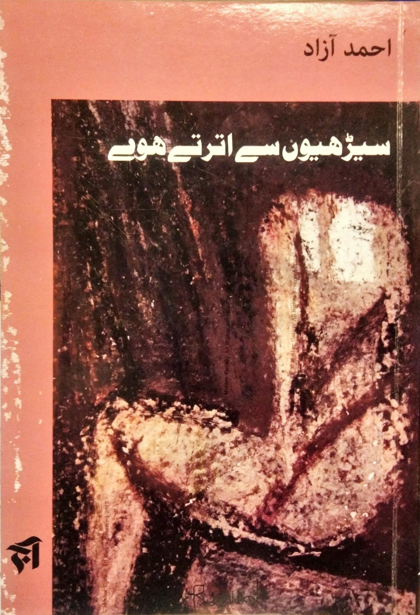 سیڑھیوں سے اترتے ہوئے